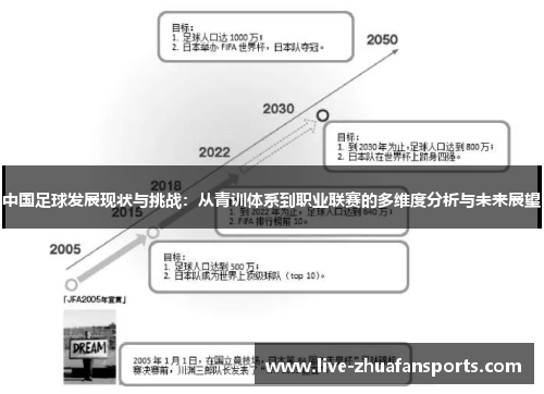 中国足球发展现状与挑战：从青训体系到职业联赛的多维度分析与未来展望